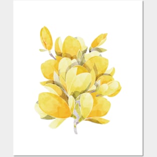 Yellow Magnolia Spring Bloom Posters and Art